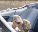 PHOTOS EXCLUSIVES : Laeticia Hallyday en plein big love avec son mari !