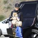 Gwen Stefani : Balade avec son mari et ses fils sur les hauteurs de Los Angeles
