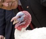 George W. Bush et sa dinde