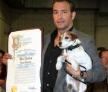 Jean Dujardin : Fini le gentil Uggie, l'espion de Möbius est battu par un chien