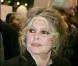 Brigitte Bardot a perdu son chat et promet 600 euros à qui le lui rendra