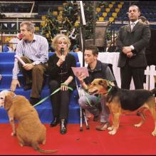 <p>Brigitte Bardot lors de la Journée spéciale d'adoption à Levallois-Perret, le 11 décembre 2005.</p>
<p></p>