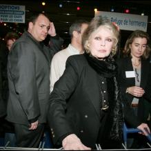 <p>Brigitte Bardot lors de la Journée spéciale d'adoption à Levallois-Perret, le 10 décembre 2005.</p>
<p></p>
