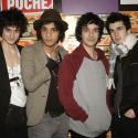 Les BB Brunes grandissent bien vite...