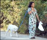 Mel B et Woofy à Hollywood
