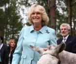 Camilla Parker Bowles et un âne