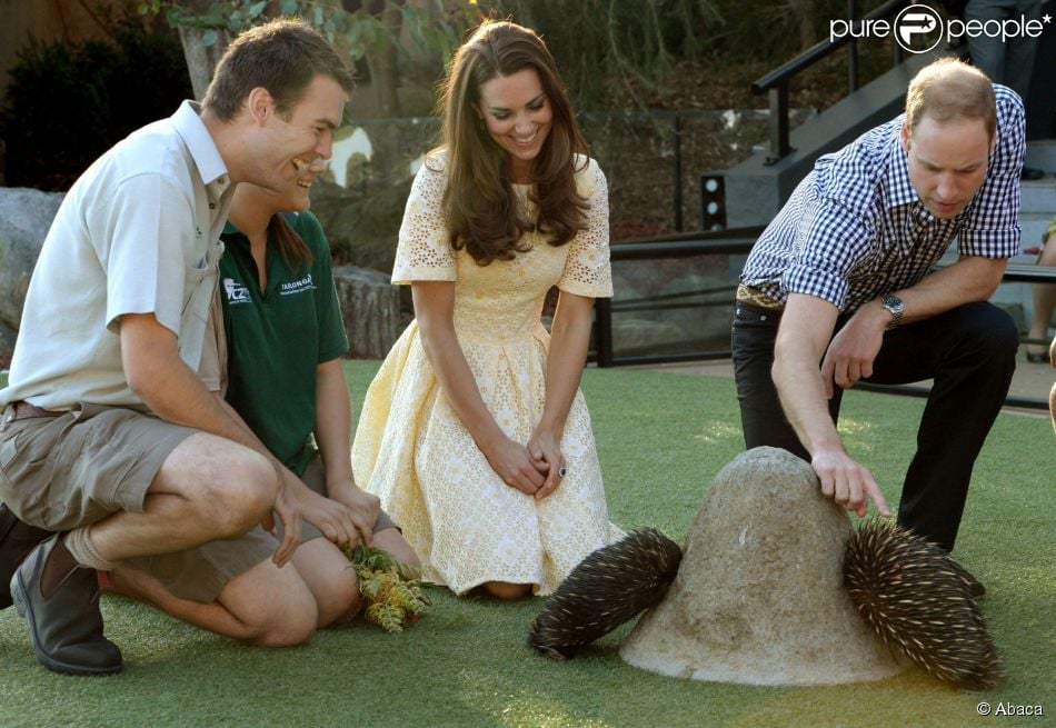 CASA REAL BRITÁNICA - Página 54 1445850-the-duke-and-duchess-of-cambridge-950x0-1