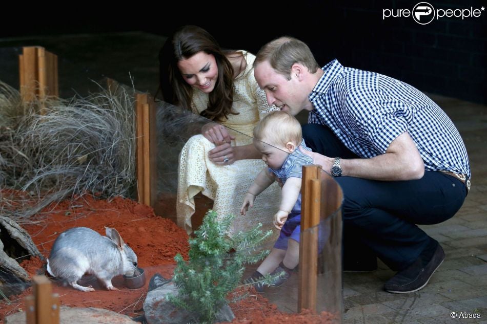 CASA REAL BRITÁNICA - Página 54 1445863-the-duke-and-duchess-of-cambridge-and-950x0-1