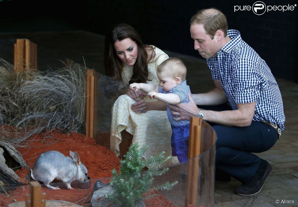 CASA REAL BRITÁNICA - Página 54 1445871-the-duke-and-duchess-of-cambridge-and-950x0-1