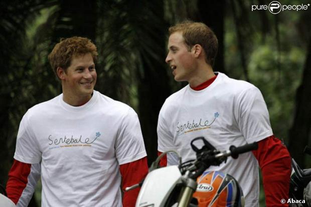 Princes William et Harry