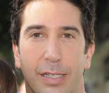 David Schwimmer 