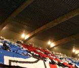 Match PSG-OL, le 22/11/08 au Parc des Princes