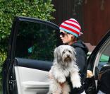Rachel Bilson et Woofy Senior