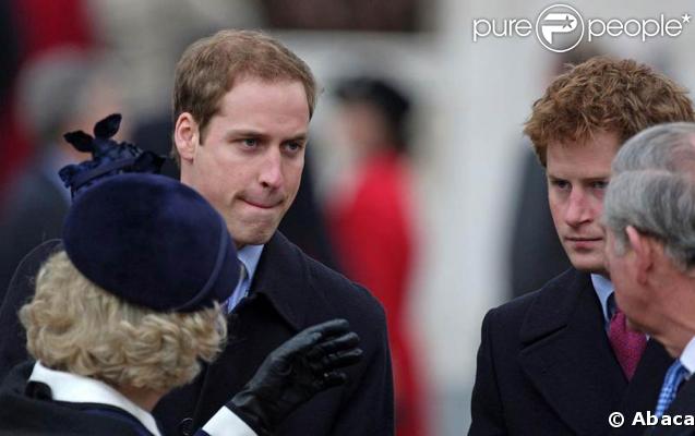 Charles, Camilla, Harry et William à l'inauguration du mémorial pour la reine-mère. 24/02/09