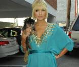 Paris Hilton en mode Hippie Chic porte une jolie tunique turquoise brodée de dorures, un legging noir et des bottines topissimes ! Robertson blvd à L.A, le 25 mars 2009