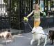 Des images de "Whatever Works", de Woody Allen !