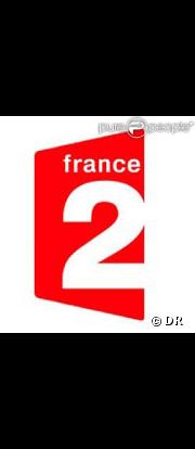 Logo France 2