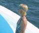 Paris Hilton au Cap d'Antibes 