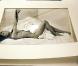 Carla Bruni, sublimement nue... mise aux enchères ! Regardez ! Présentation de la photo à Berlin ! (réactualisé)