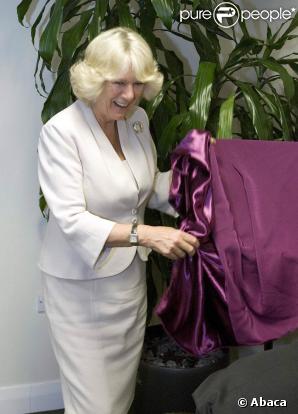 Camilla Parker Bowles en visite officielle dans un centre pour sans-abris, hier à Plymouth