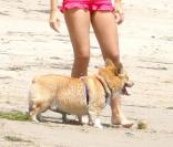 Kendra Wilkinson et son mari Hank Baskett, sur la plage de Malibu, en Californie, le 20 juillet 2009 !