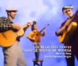 Les négresses vertes chantaient en 1991 