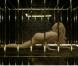 Le clip de Shakira : She Wolf !