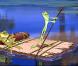 La princesse et la grenouille des studios Disney