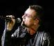 U2 et David Hasselhoff : même combat !