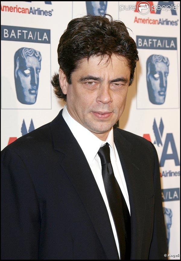Benicio Del Toro, lors des 18e Britannia Awards, à l'Hyatt Regency de Century Plaza à Century City, à Los Angeles, le 5 novembre 2009.