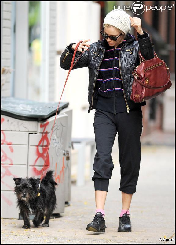 Sienna Miller dans les rues de New York avec son chien 