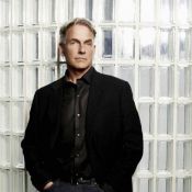 rencontrer mark harmon