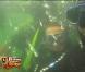 Karine et Greg au milieu des requins
