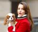 Charlotte York, une classe et une élégance folle !