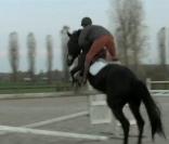 Cavaliers Seuls de Jean Rochefort et Delphine Gleize