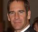 Scott Bakula, de 'Code Quantum', goûte l'humour noir de Steven Soderbergh...
