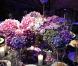 Grand Bal de Deauville, le 28 août 2010