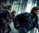 Harry Potter : Les héros lèvent le voile sur la fin de la saga culte au cinéma !