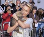 Hayden Panettiere lors de la première du film d\'animation Alpha & Omega à Londres, le 10 octobre 2010<br />