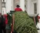Michelle, Sasha et Malia Obama réceptionnent le sapin de Noël de la Maison Blanche. 26/11/2010