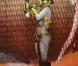 Lady Gaga, reine du biz'art en perpétuelle quête d'extravagance costumière... En 2010, son éventail de costume s'est encore étoffé.