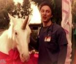 J.D Dorian (Zach Braff) et les unicorns (les licornes) : une grande histoire d'amour dans Scrubs.