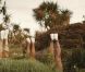 Metronomy rend un hommage audiovisuel puissant à sa région du Devon, avec le clip  The Bay , troisième extrait de l'album  English Riviera  : oeuvre de David Wilson, le clip, très librement inspiré du  Miami  de Will Smith, décline l'ambiance de cette riviera avec un esthétisme bluffant.