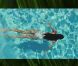 Metronomy rend un hommage audiovisuel puissant à sa région du Devon, avec le clip  The Bay , troisième extrait de l'album  English Riviera  : oeuvre de David Wilson, le clip, très librement inspiré du  Miami  de Will Smith, décline l'ambiance de cette riviera avec un esthétisme bluffant.