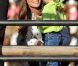  Le Stampede, grand-messe mondiale du rodéo, a réjoui Calamity Kate de Cambridge et Buffalo Bill de Galles, à Calgary, le 7 juillet 2011. 
 William et Kate, Royal Tour au Canada, jour 8 (jeudi 7 juillet 2011). Pour l'avant-dernier jour de leur visite officielle, le prince William et son épouse la duchesse Catherine de Cambridge ont rallié Calgary, leur dernière étape au Canada avant un déplacement de trois jours à Los Angeles. 