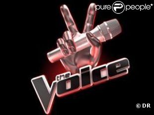 L'arrivée de The Voice sur TF1 suscite déjà beaucoup de spéculations...