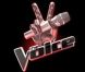 The Voice : Nikos Aliagas ou Arthur ? Que des rumeurs !