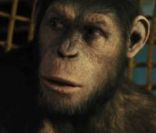 Extrait du film La Planète des singes : les origines
