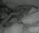Ayem est blottie dans les bras de Daniel dans Secret Story 5