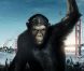 Les singes mettent la pâtée à Ryan Reynolds et Blake Lively